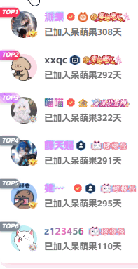 20250410232733398-评论页
